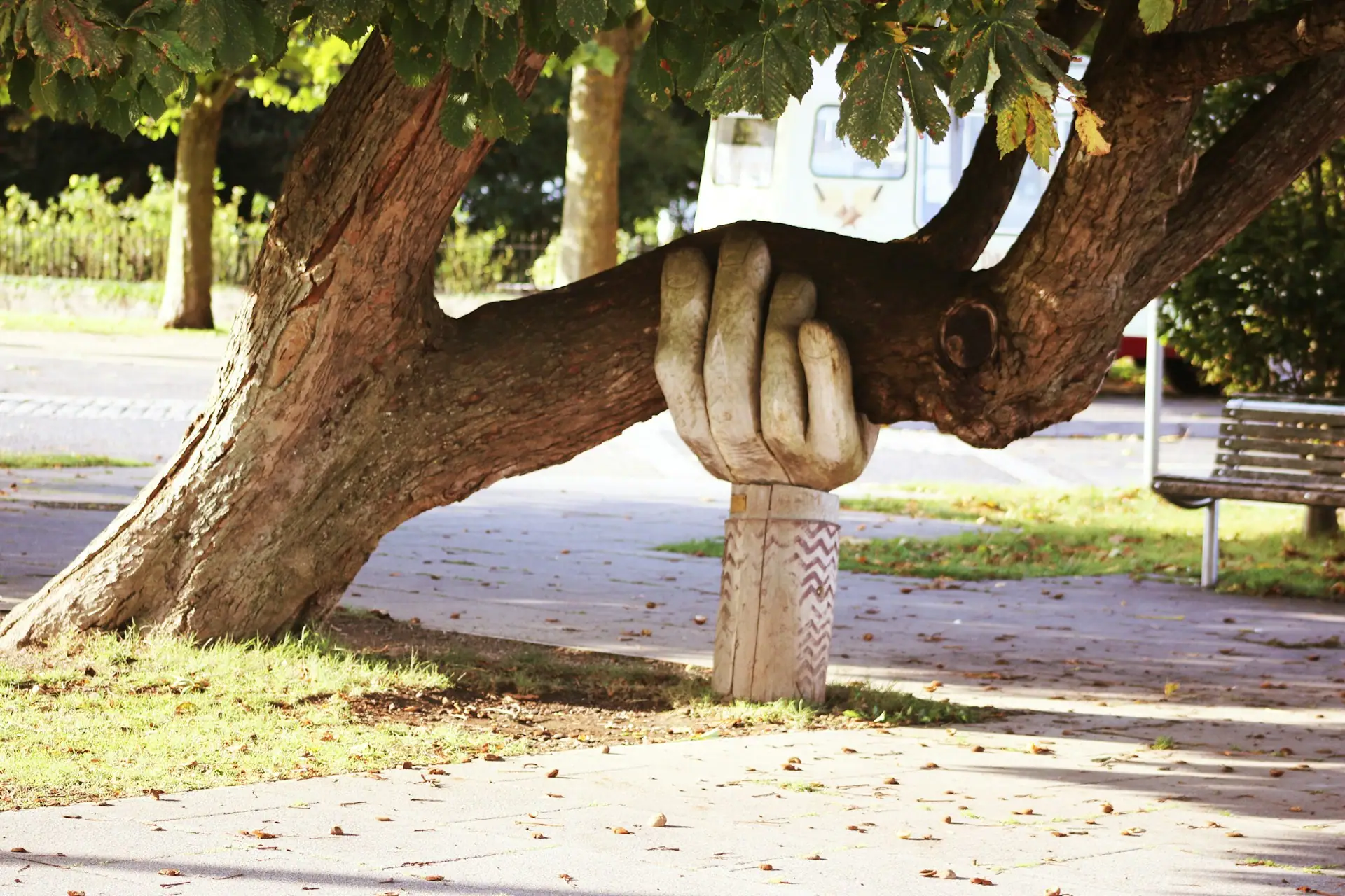 Healthy Habits For A Successful Life - Find Support from Respected Sources