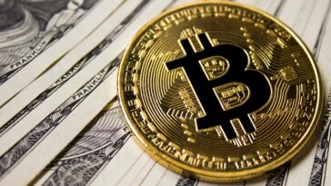 Bitcoin jumps over $23K Showing no Signs of Slowing down