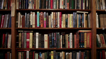 Things to Look for in a Mentor