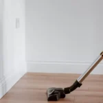 Best Vacuum For Fleas