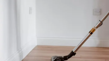 Best Vacuum For Fleas