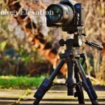 Best Travel Tripod in 2024