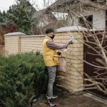 Best Video Doorbell in 2023